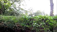 Descrizione: https://i.ytimg.com/vi/VUL5khDAdUs/hqdefault.jpg?custom=true&w=196&h=110&stc=true&jpg444=true&jpgq=90&sp=68&sigh=SuqqsZeFJftRCPA9ihBXTOmQHWo